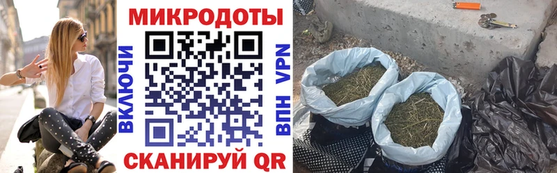 Галлюциногенные грибы MAGIC MUSHROOMS  Купить закладки  Колпашево 